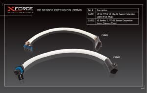 Bolts and Sensor Bungs