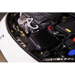 Mishimoto Performance Air Filter