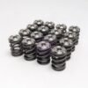 Skunk2 Alpha Valve Spring Titanium Retainer Kit Honda K20 K24 344-05-1410
