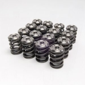 Skunk2 Alpha Valve Spring Titanium Retainer Kit Honda K20 K24 344-05-1410