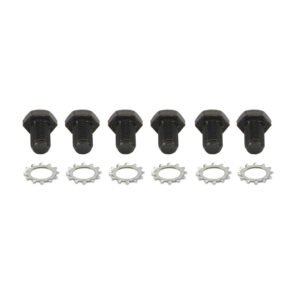 Flex Plate Bolts GM (4696)